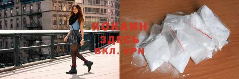 купить закладку  Краснотурьинск  Cocaine Эквадор 