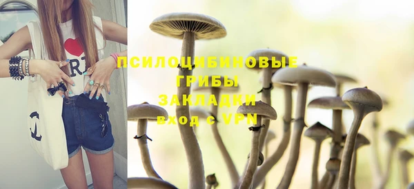 PSILOCYBIN Костерёво