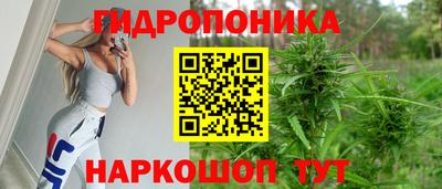 jwh Кандалакша