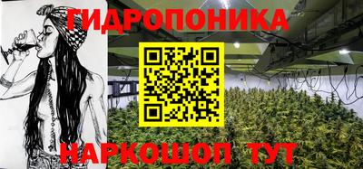 jwh Кимры